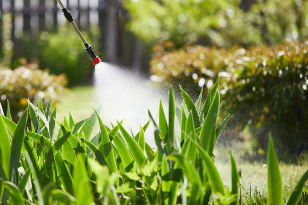 24/7 Emergency Wasp Removal experts in Gering, NE